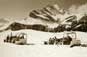 Funi Braunwald